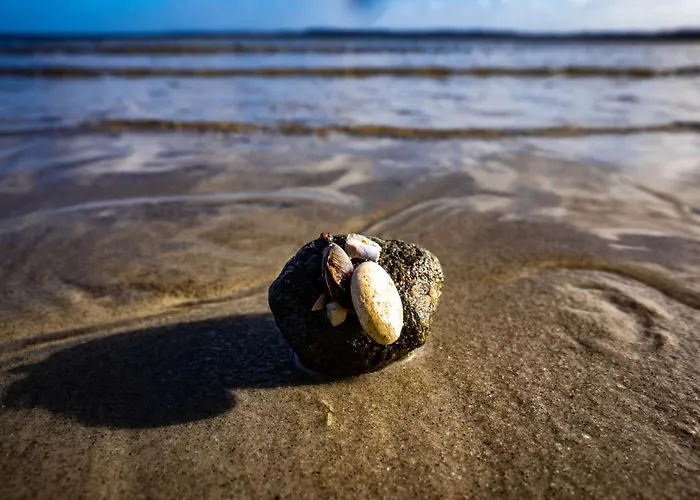 Ferienhaus Bockholm 24 C